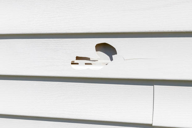 How To Choose The Right Materials for Your Siding Installation in 'Wood River, IL